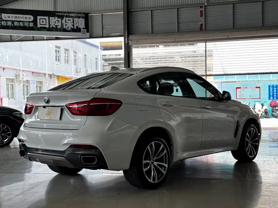 BMW X6