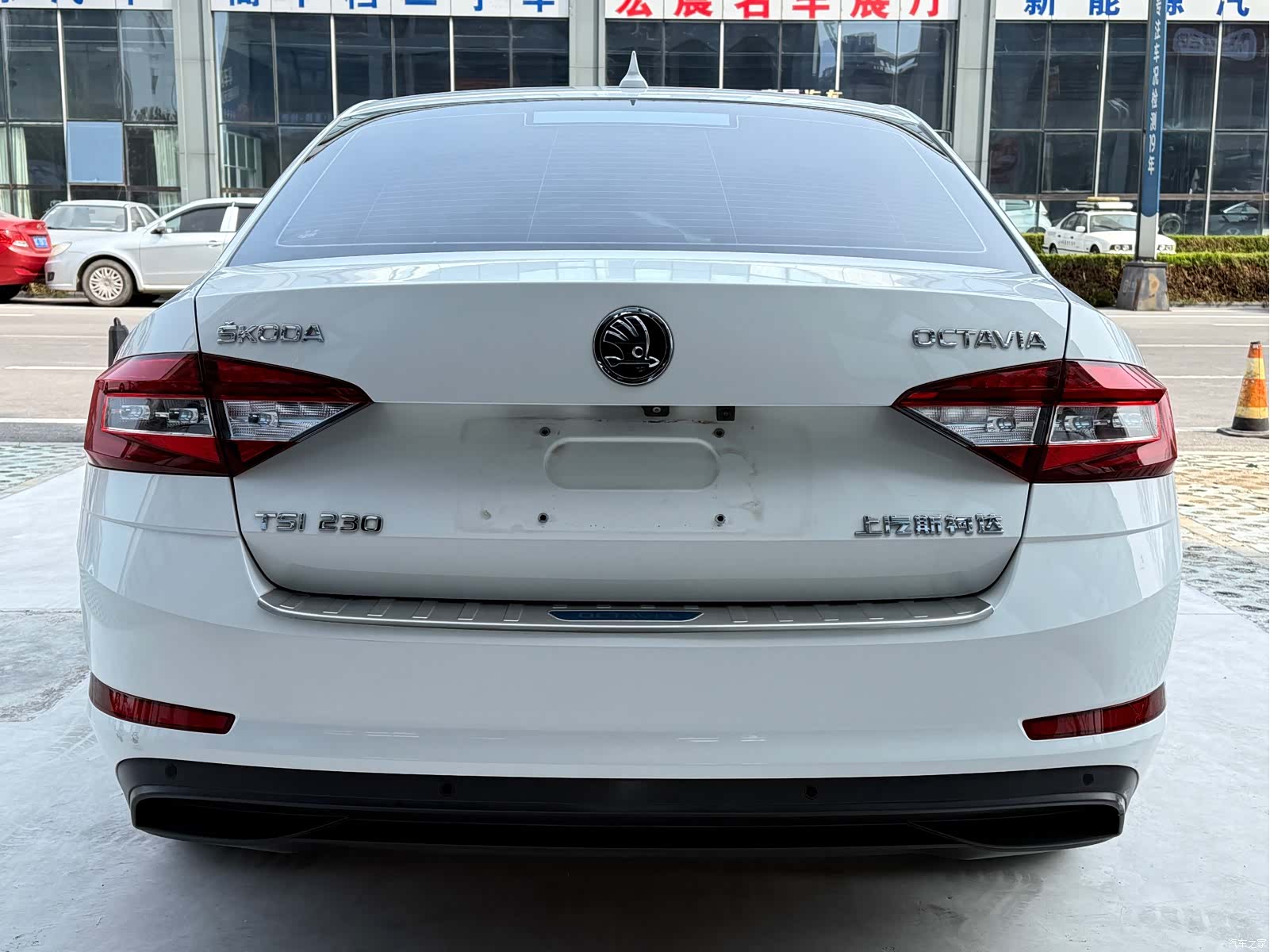 Skoda Octavia, 2018 все фото
