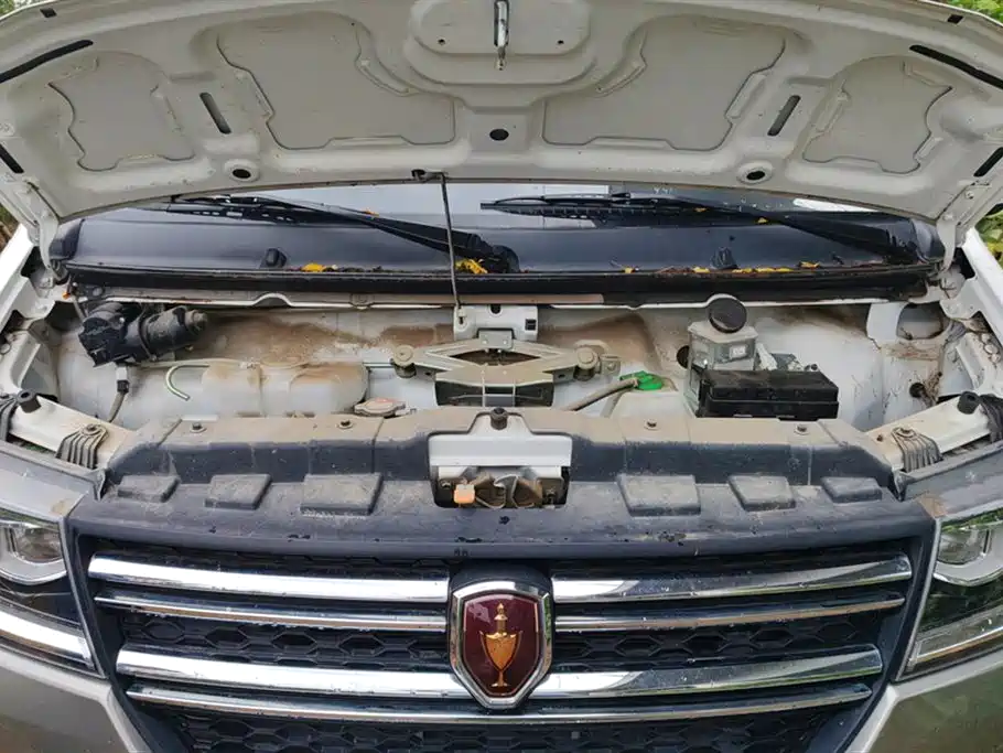 Jinbei New Sea Lion S