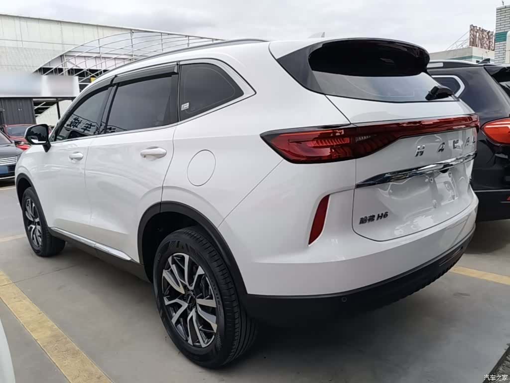 Haval H6, 2024 все фото