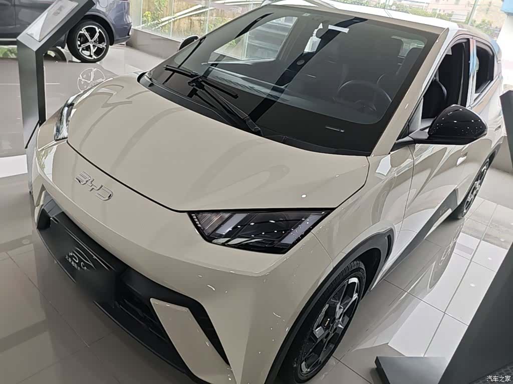 BYD Seagull, 2024 1