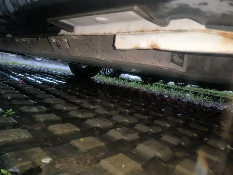 Geometry EX3 Kung Fu Cow