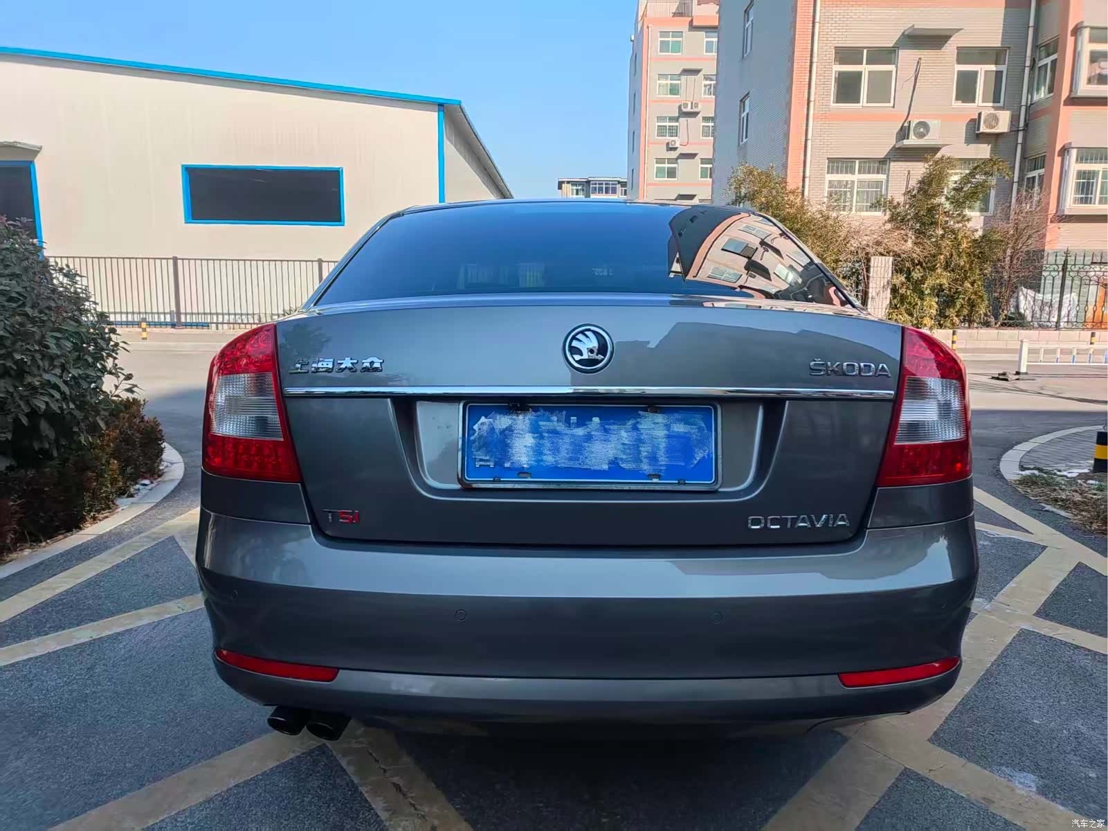 Skoda Octavia, 2014 все фото