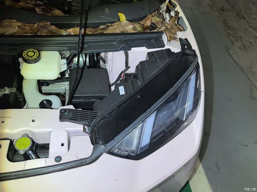 BYD Seagull, 2024 23