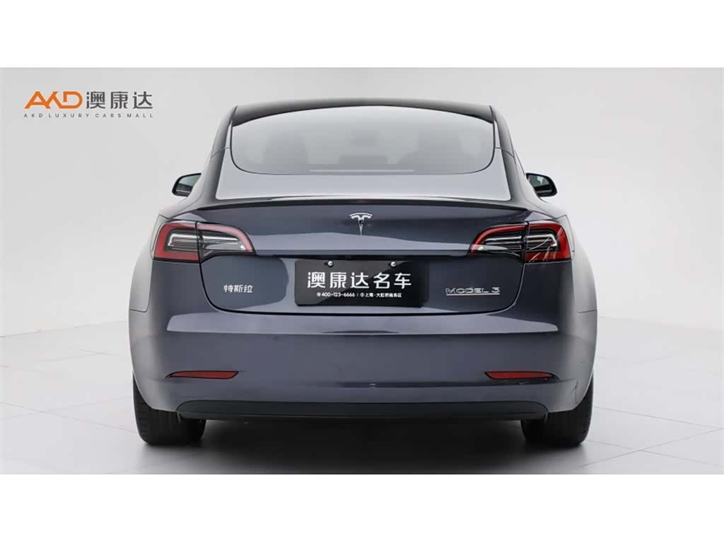 Tesla Model 3, 2021 4