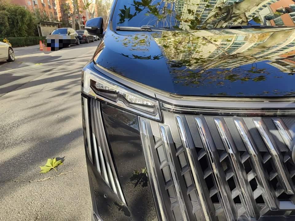 Trumpchi Trumpchi M8