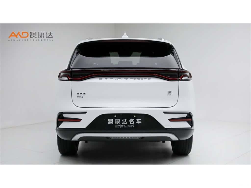 BYD Tang, 2022 4