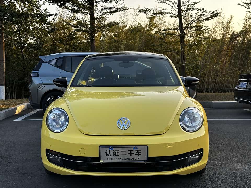 Volkswagen Beetle