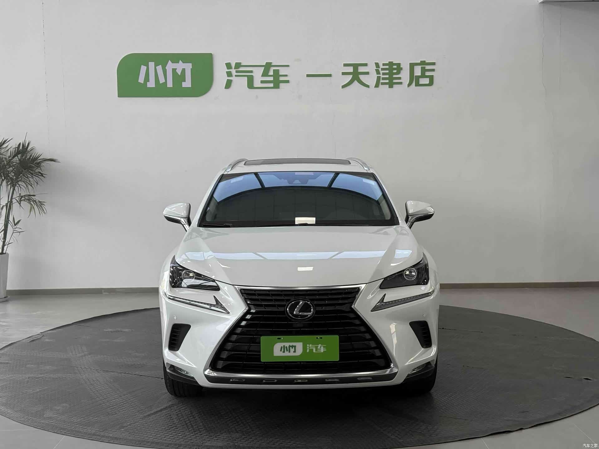 Lexus NX, 2021 2