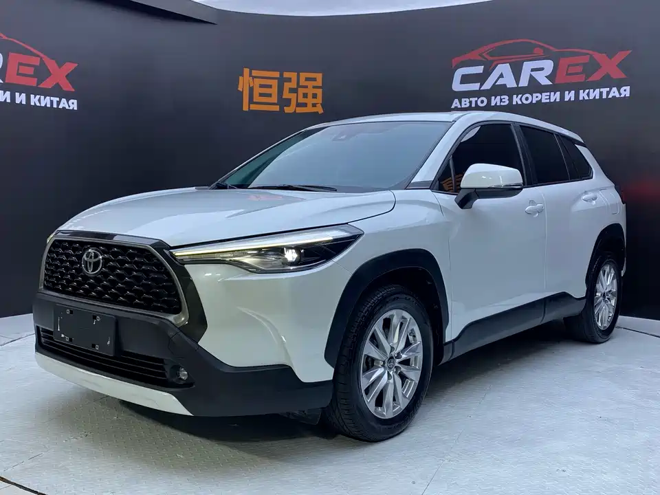 Toyota Corolla Sharp amplifier