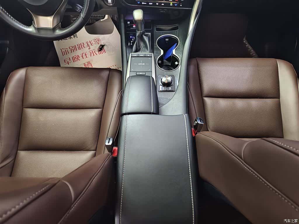 Lexus RX, 2022 15