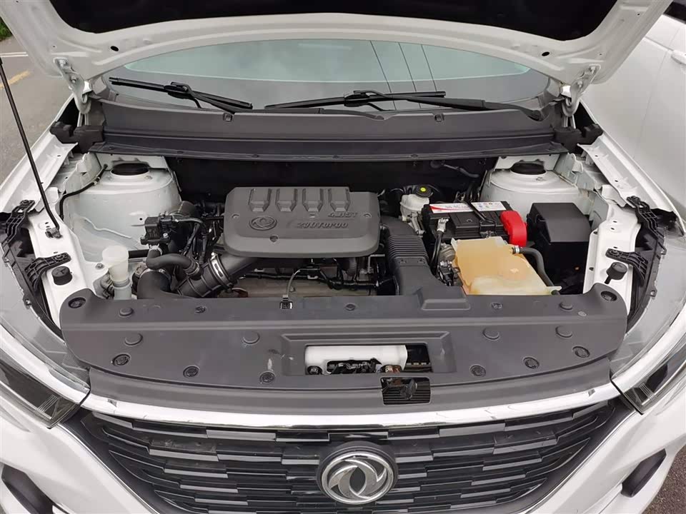Forthing Popular T5 Forthing Popular T5