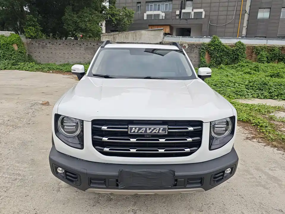 Haval Big dog