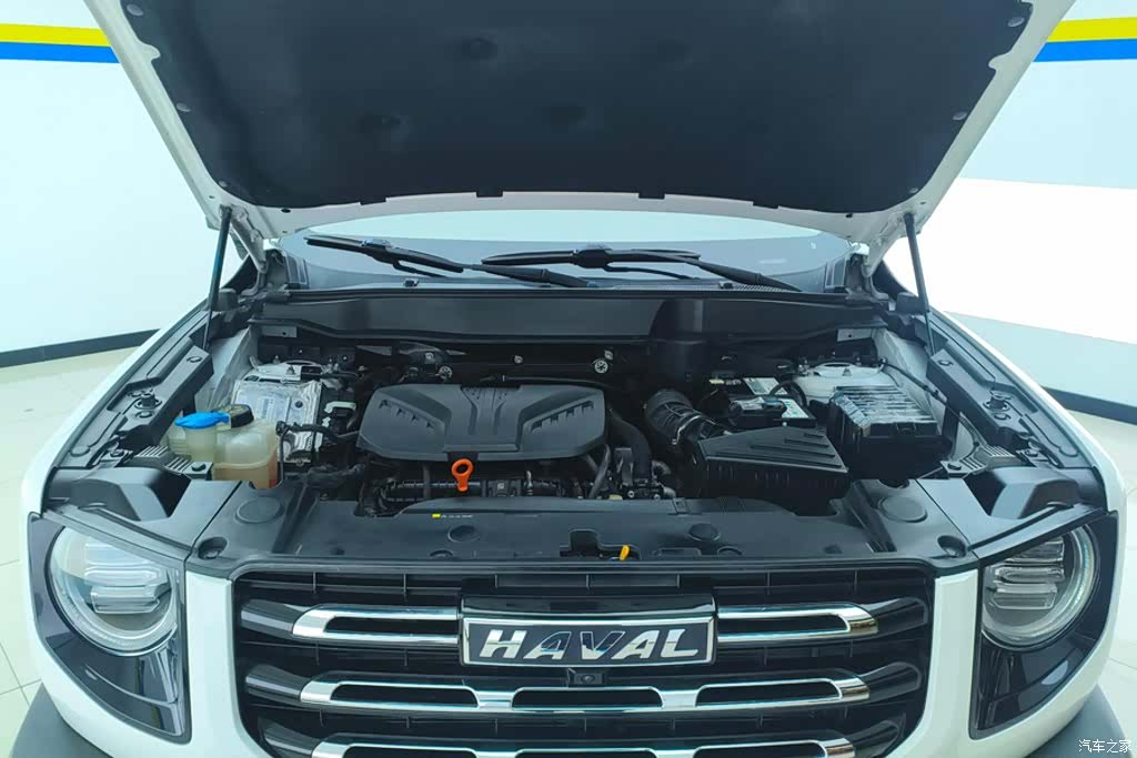 Haval Big Dog, 2022 10