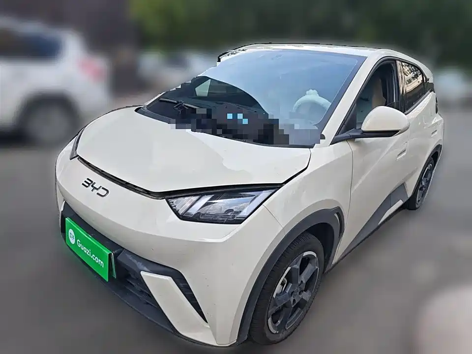 BYD Seagull
