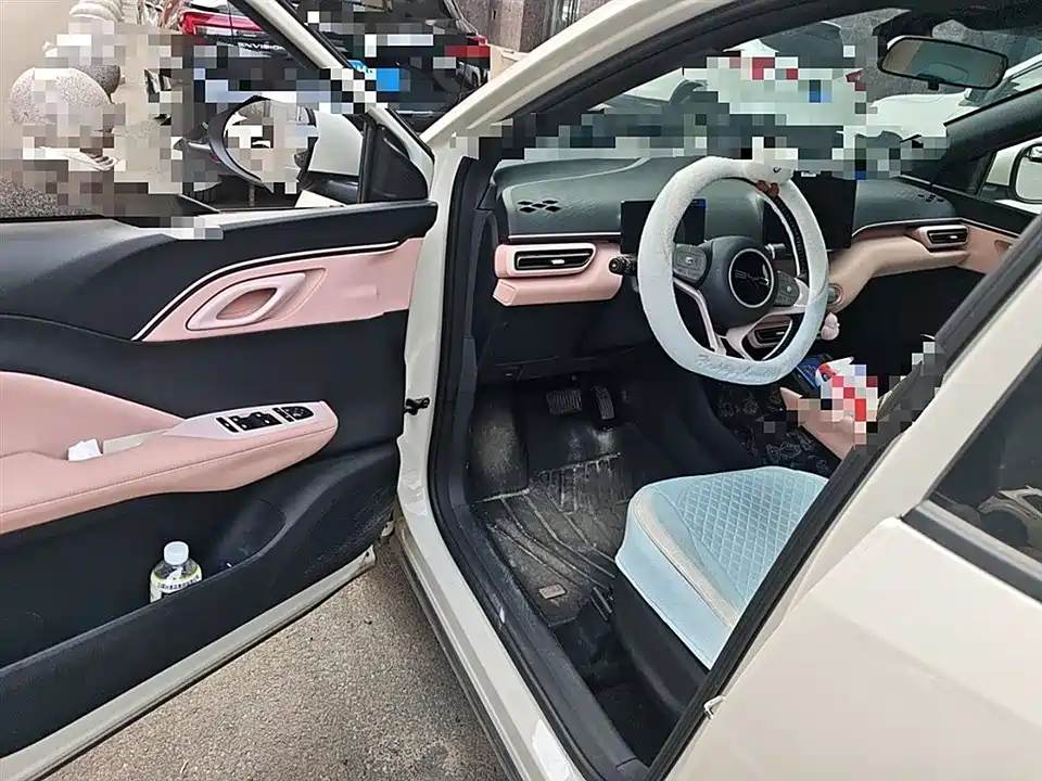BYD Seagull
