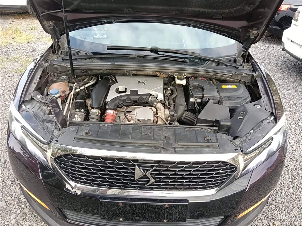 DS 6