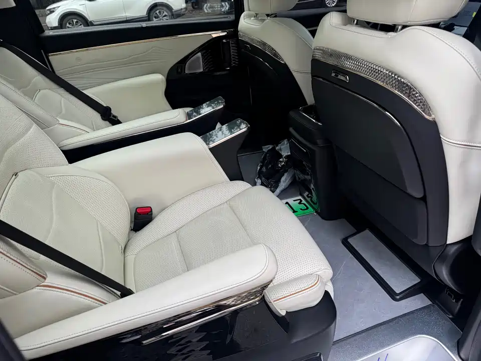 Trumpchi Trumpchi E9