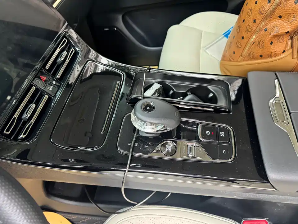 Trumpchi Trumpchi E9