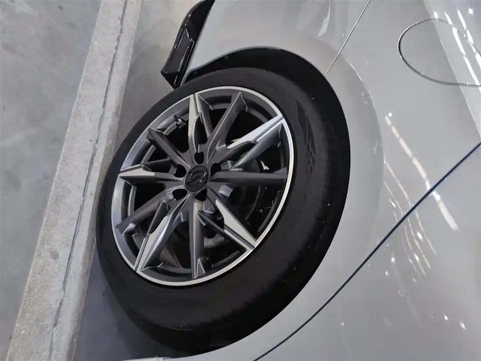 Trumpchi Shadow Leopard