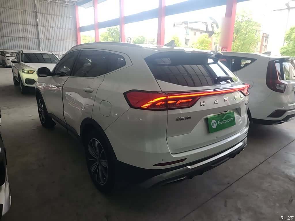 Haval H6, 2023 все фото