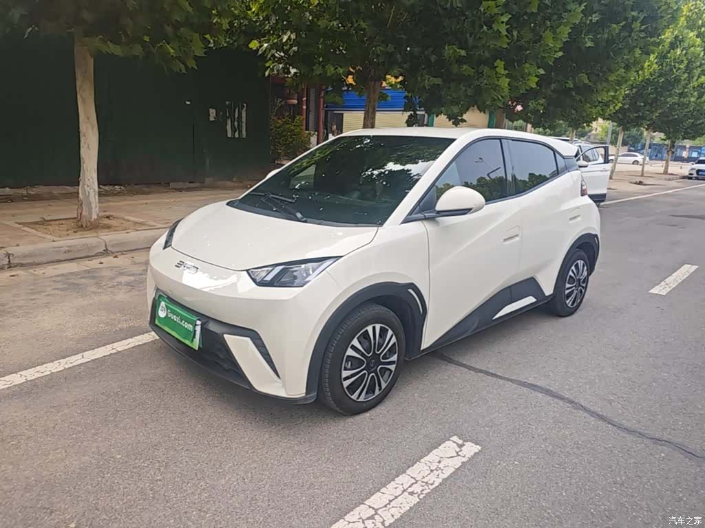 BYD Seagull, 2025 1