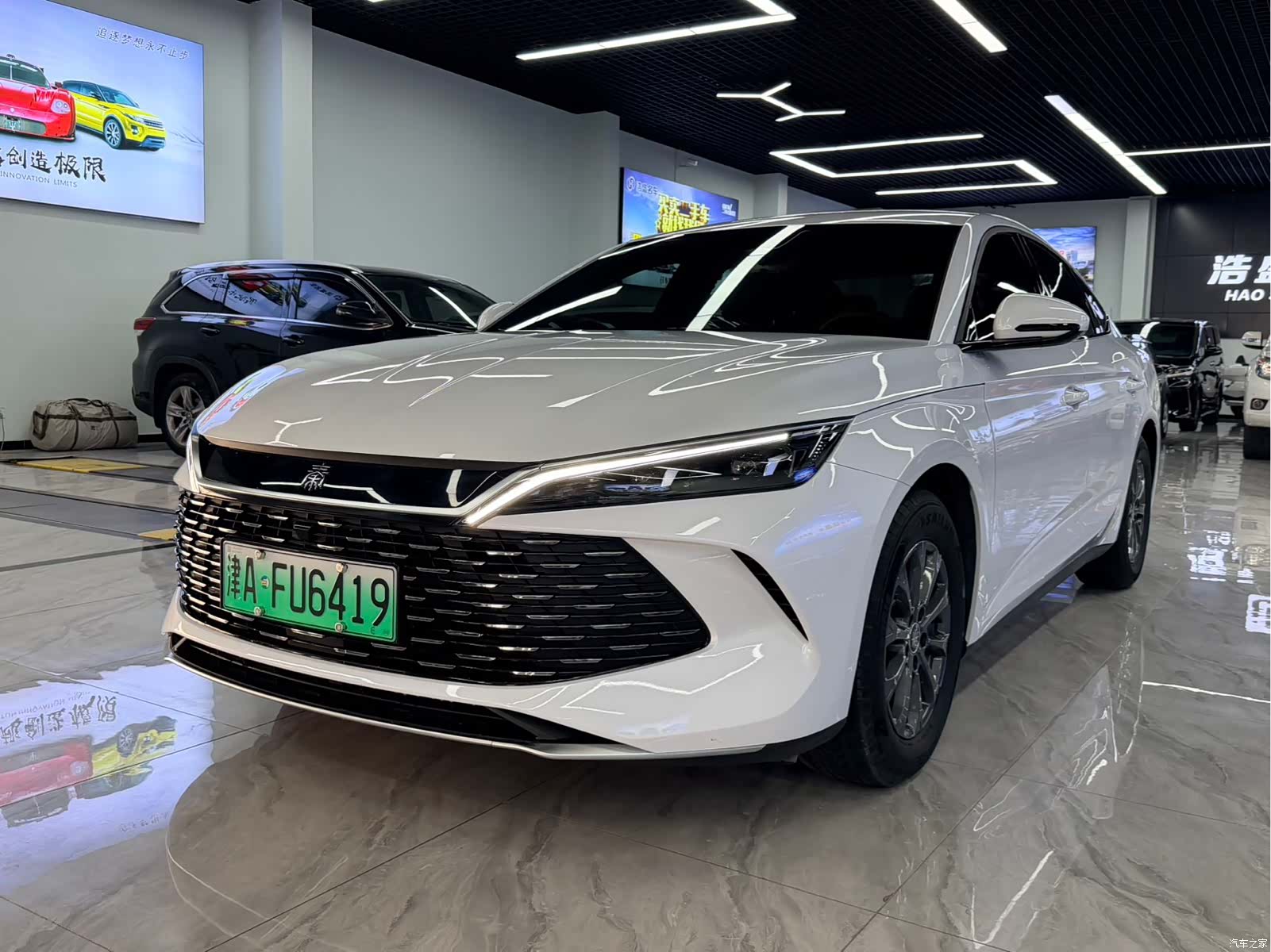 BYD Qin, 2024 1