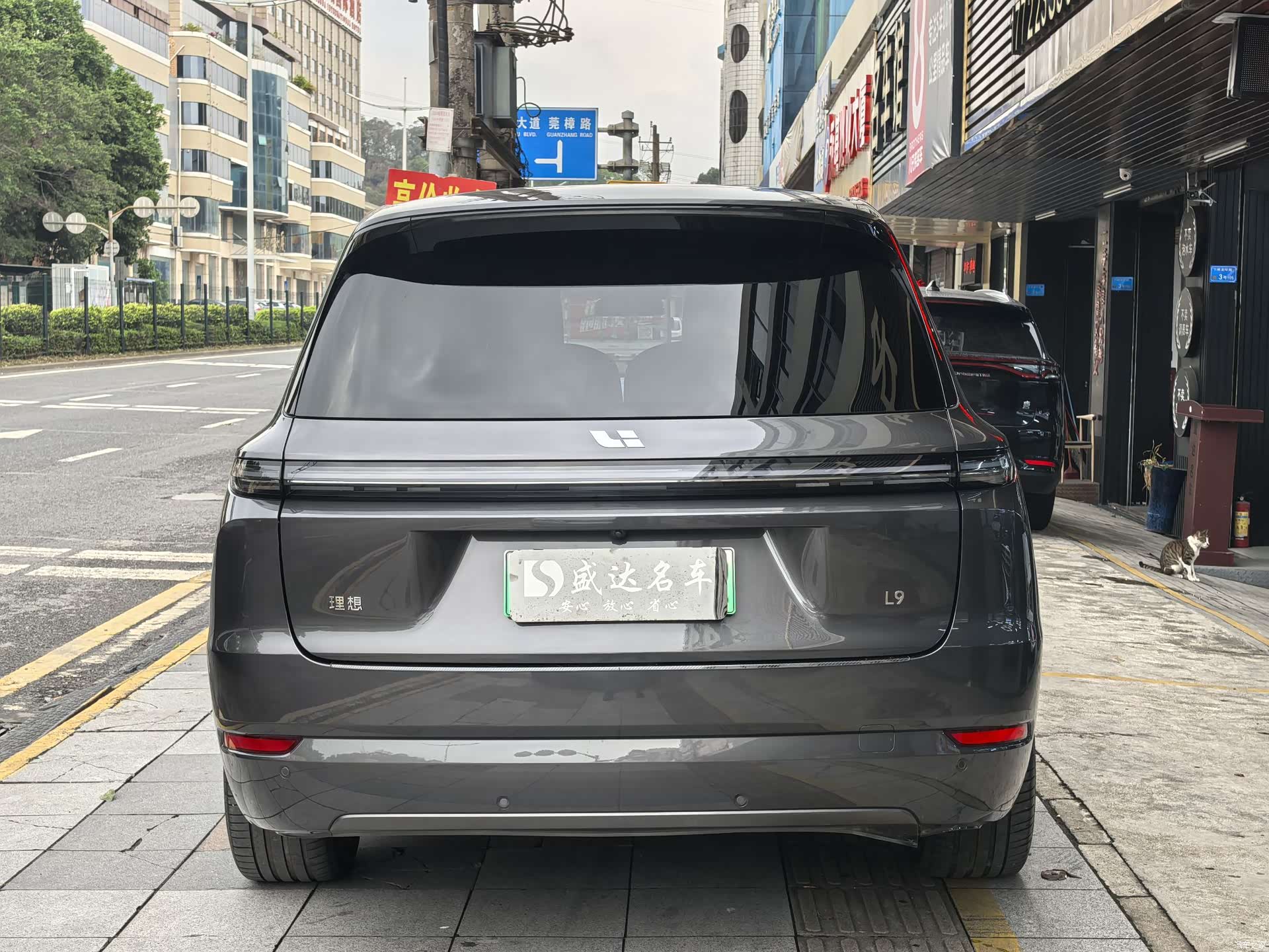 Li Auto L9, 2024 все фото