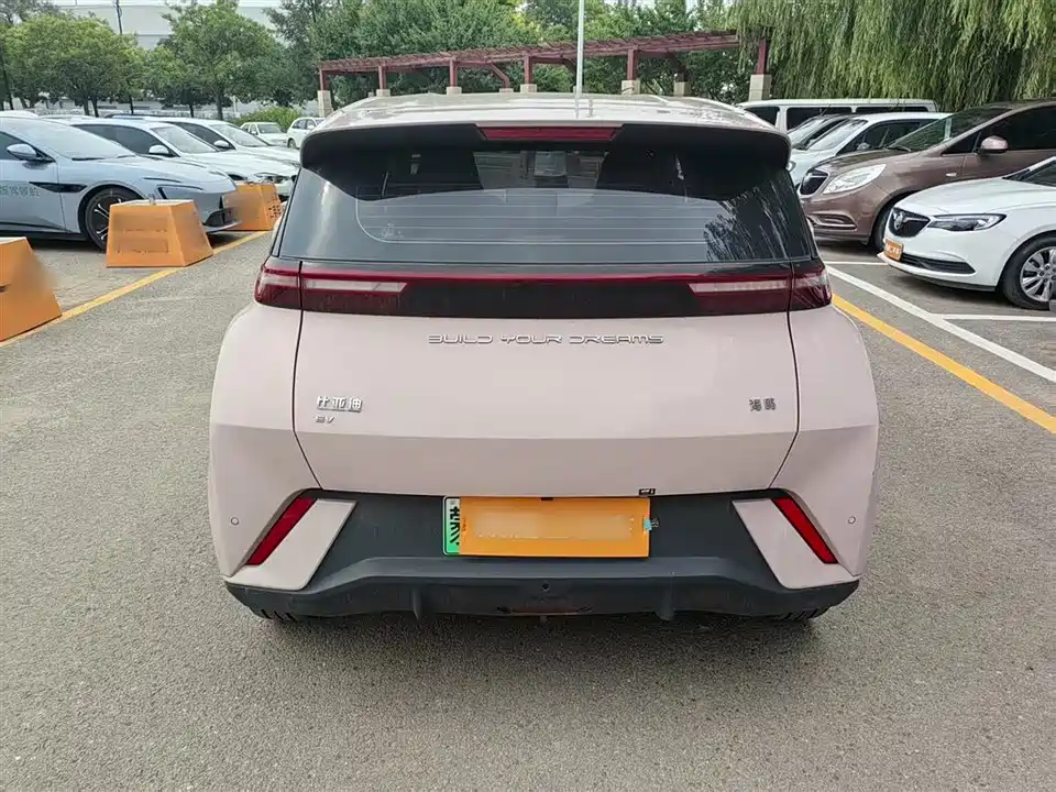 BYD Seagull