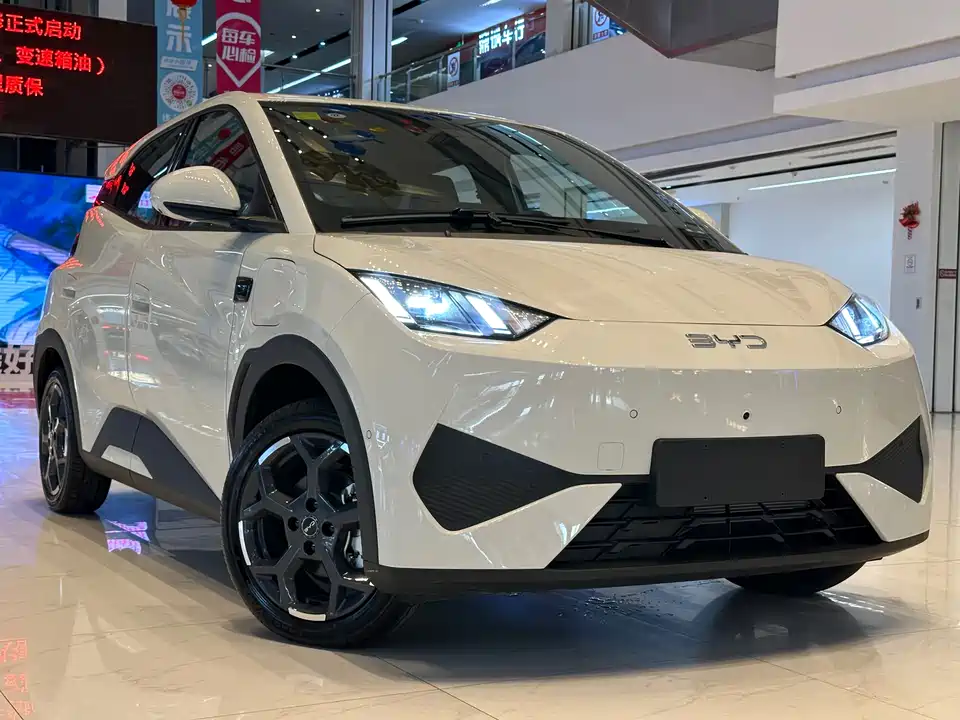 BYD Seagull