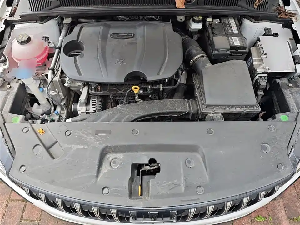 Geely Binrui