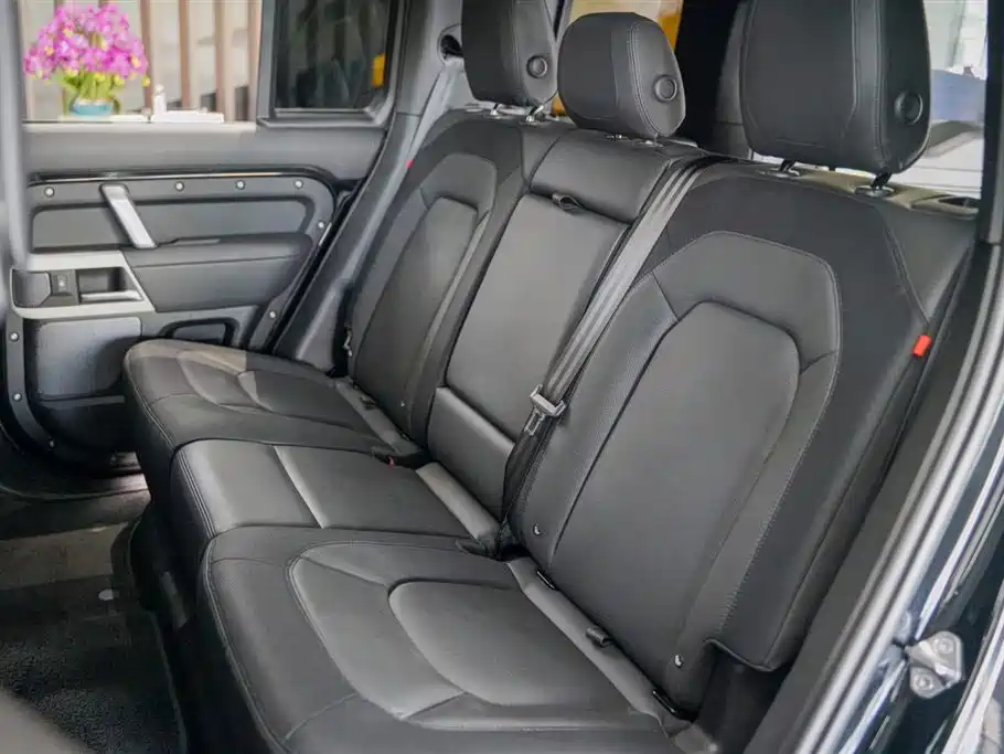 Land Rover guard
