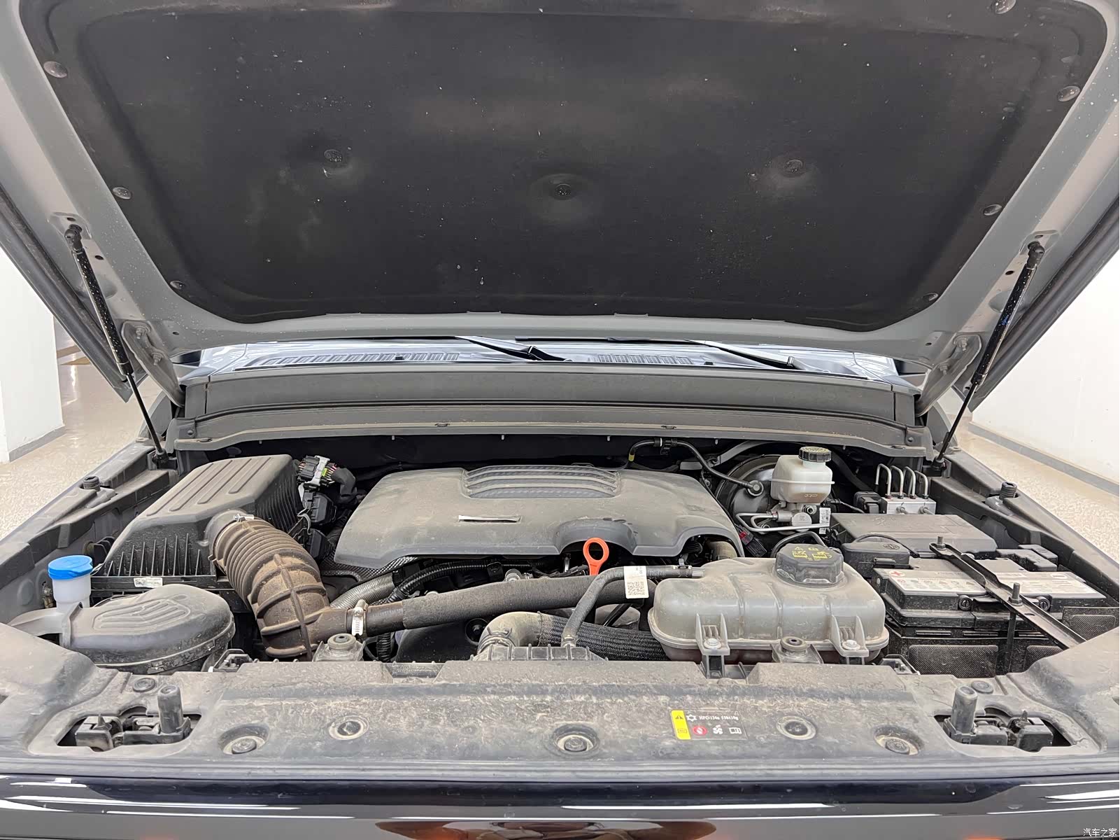Tank 300, 2024 28