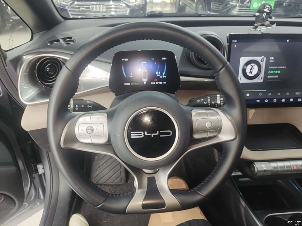 BYD Dolphin, 2024 11