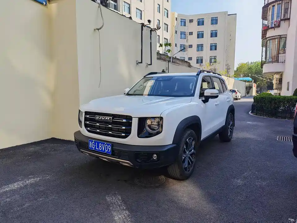 Haval Big dog