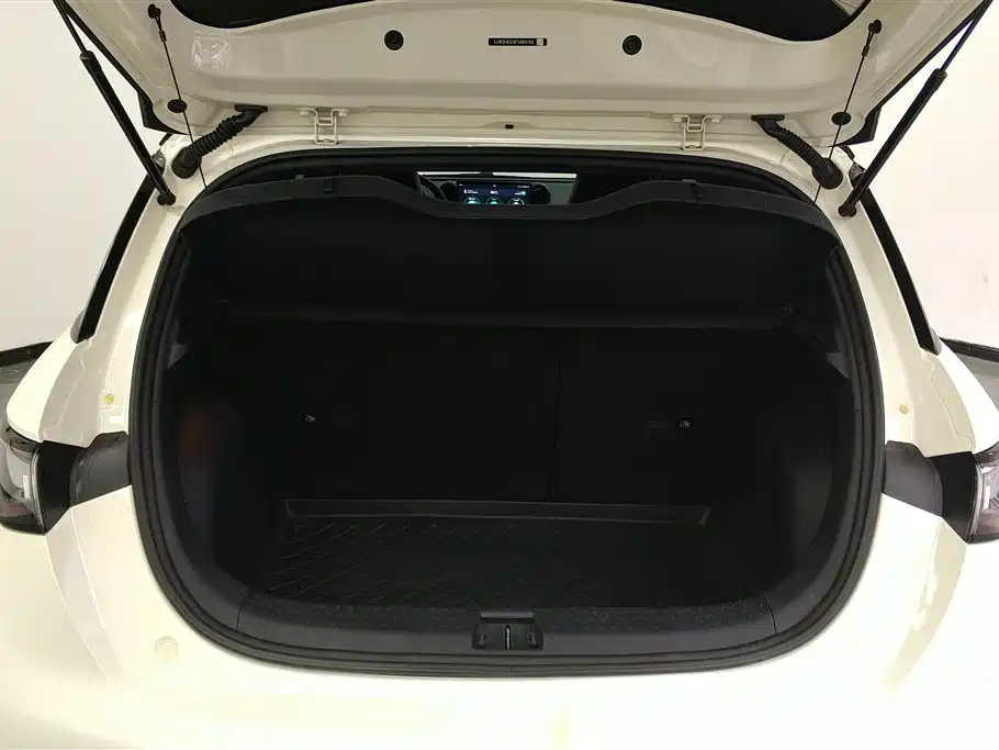 BYD dolphin BYD dolphin
