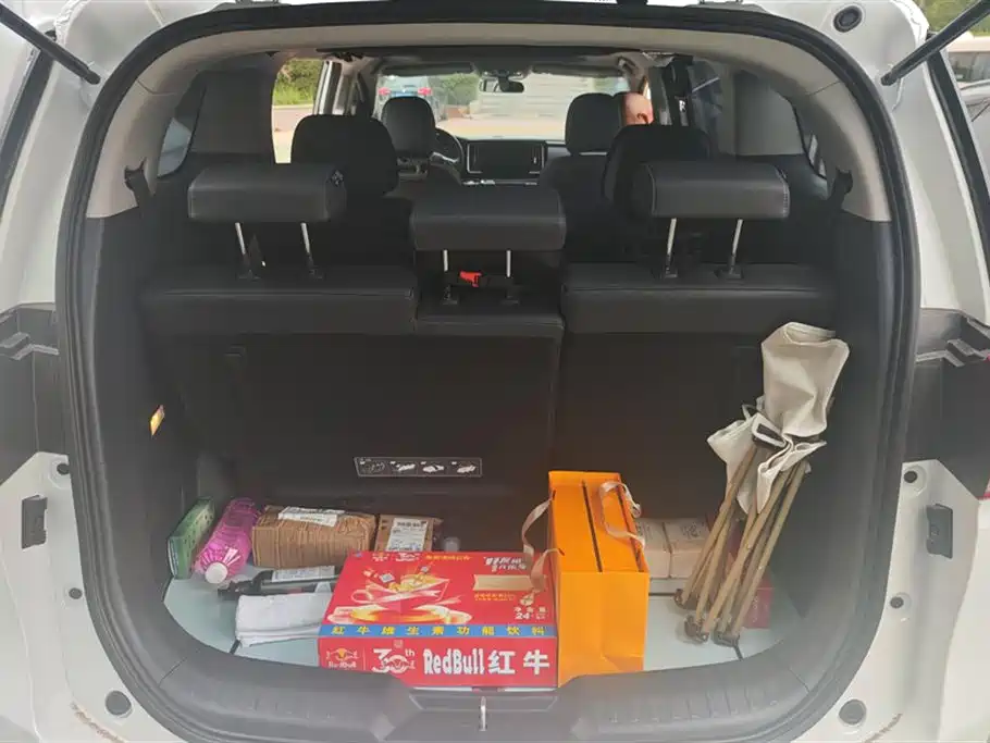 Trumpchi Trumpchi M8