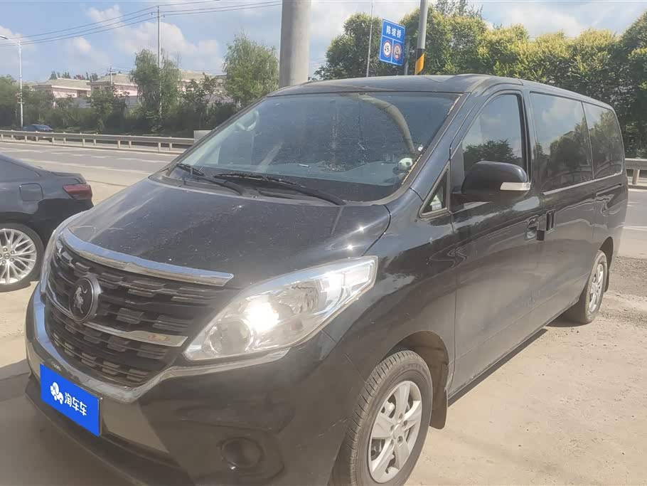 Forthing Lingzhi PLUS