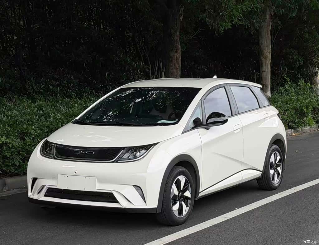 BYD Dolphin, 2025 2