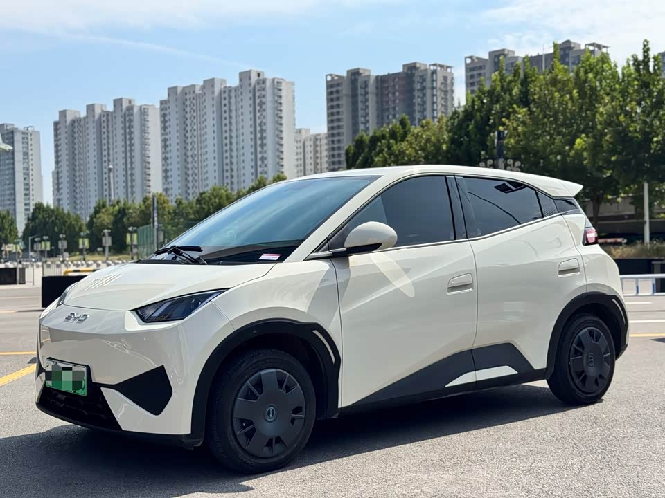 BYD Seagull