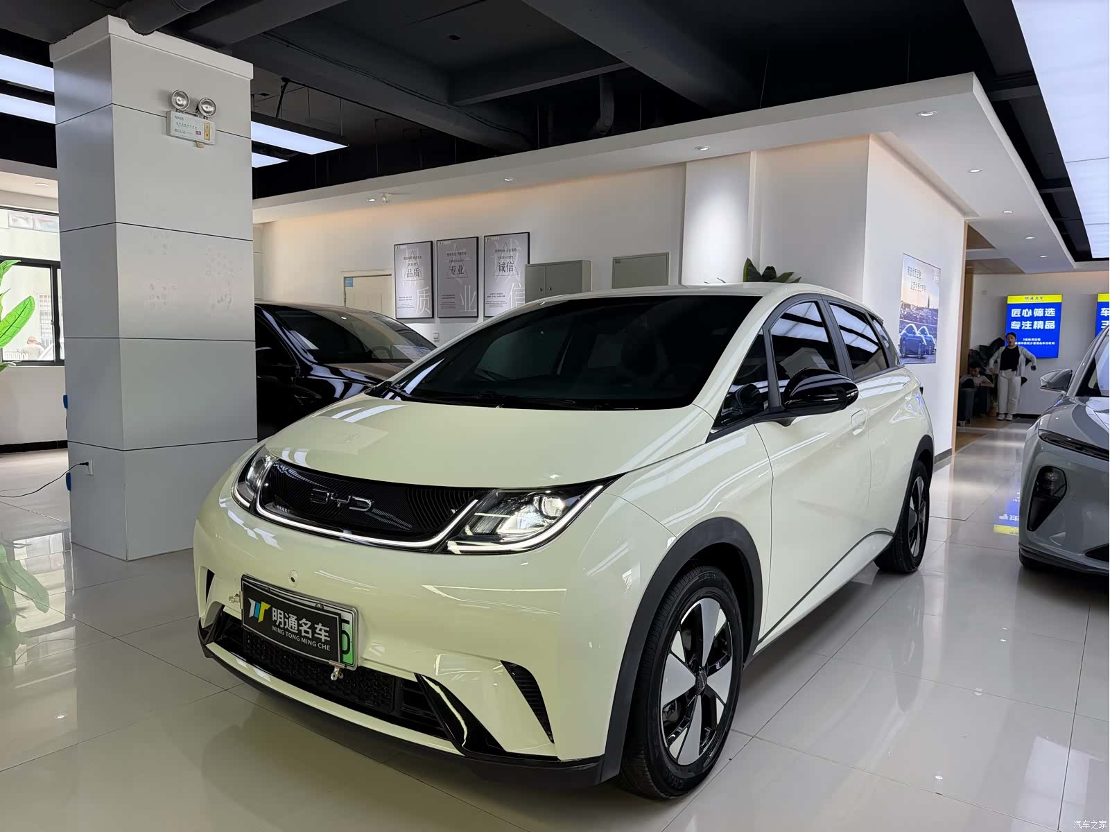 BYD Dolphin, 2023 1