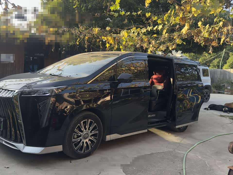 Trumpchi Trumpchi E9