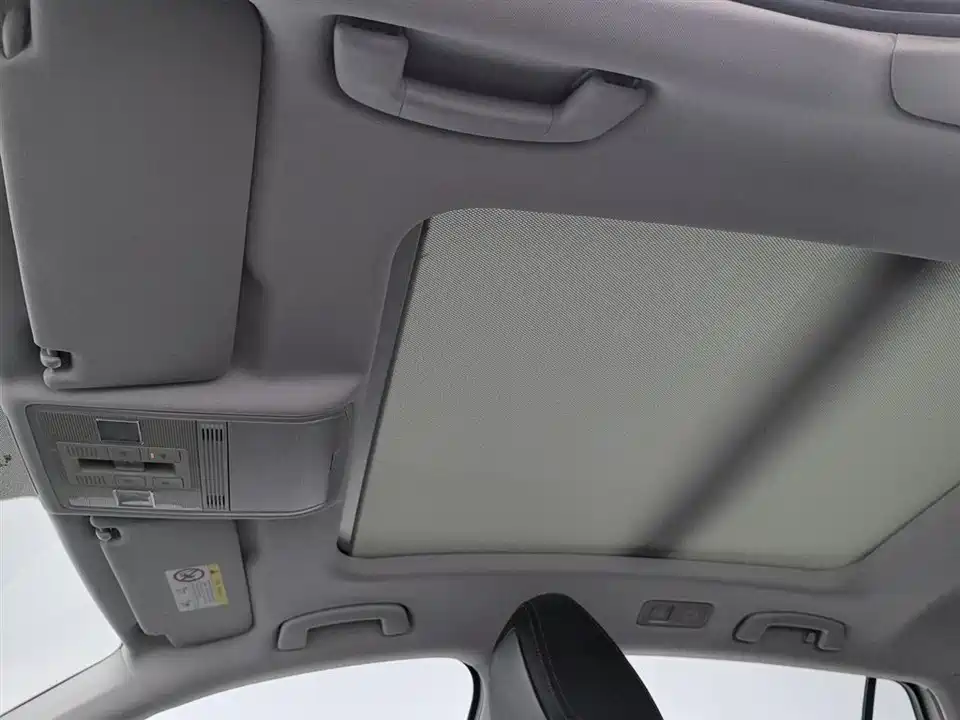 Volkswagen C-TREK Wei Collar