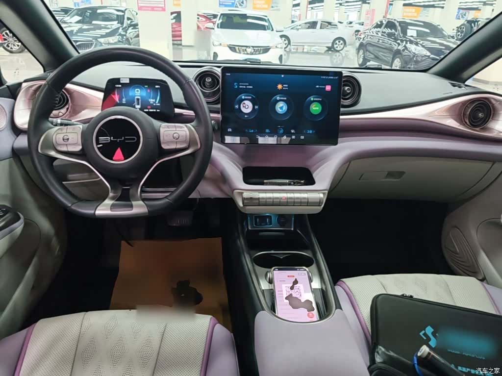 BYD Dolphin, 2023 10