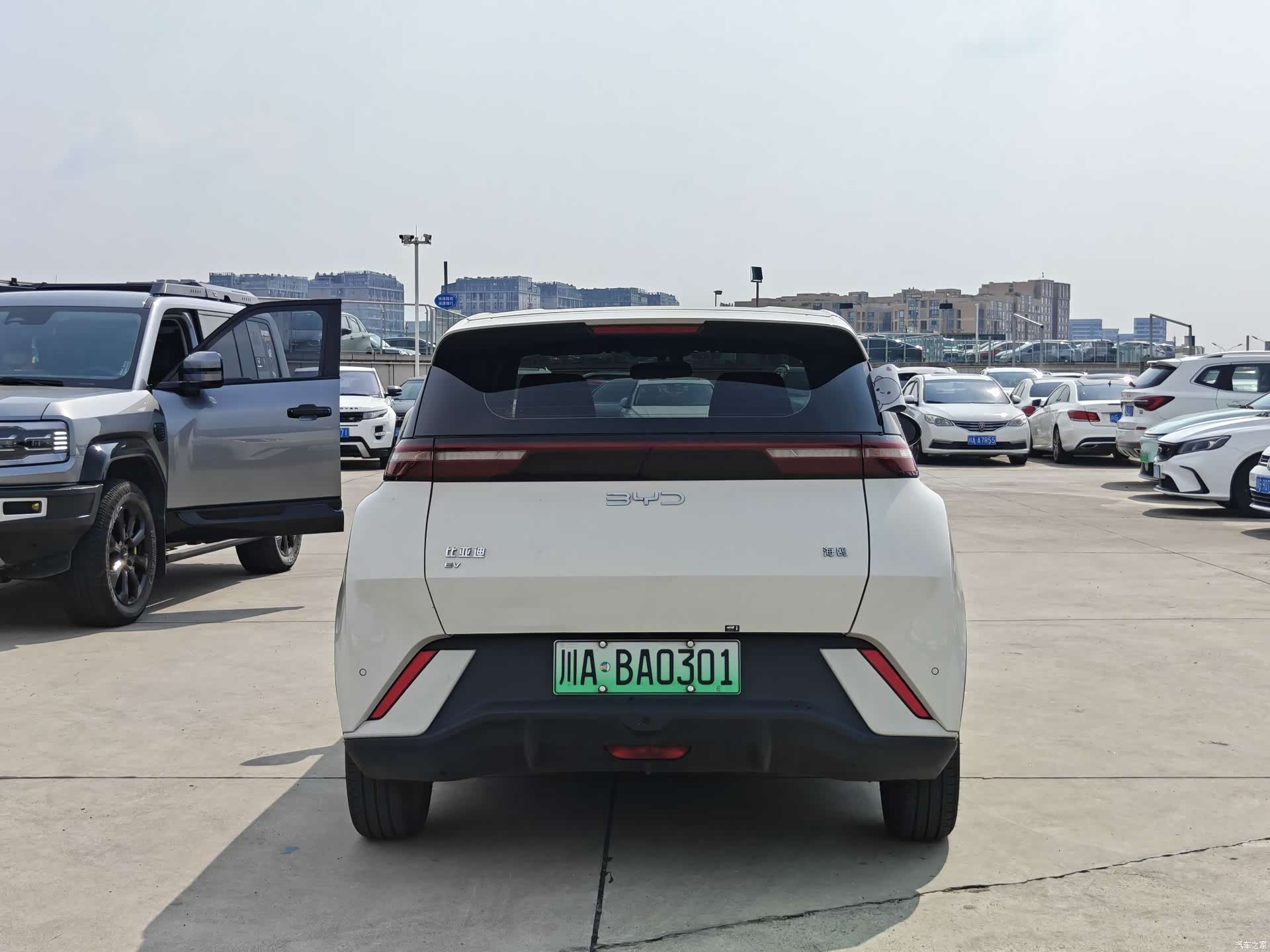 BYD Seagull, 2024 все фото