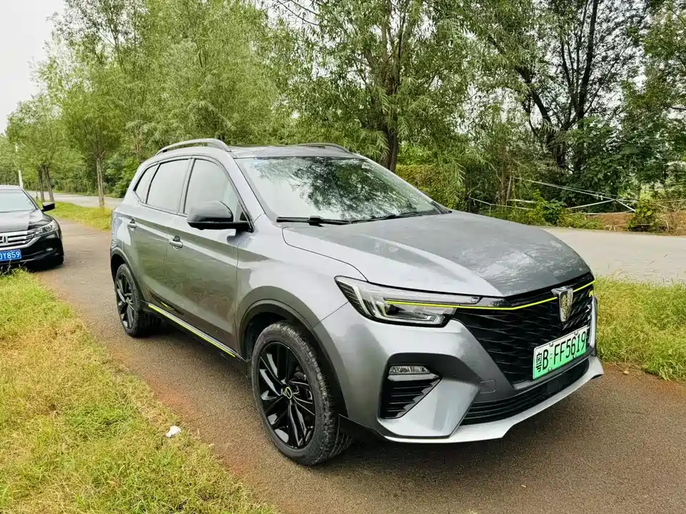 Roewe RX5 New energy