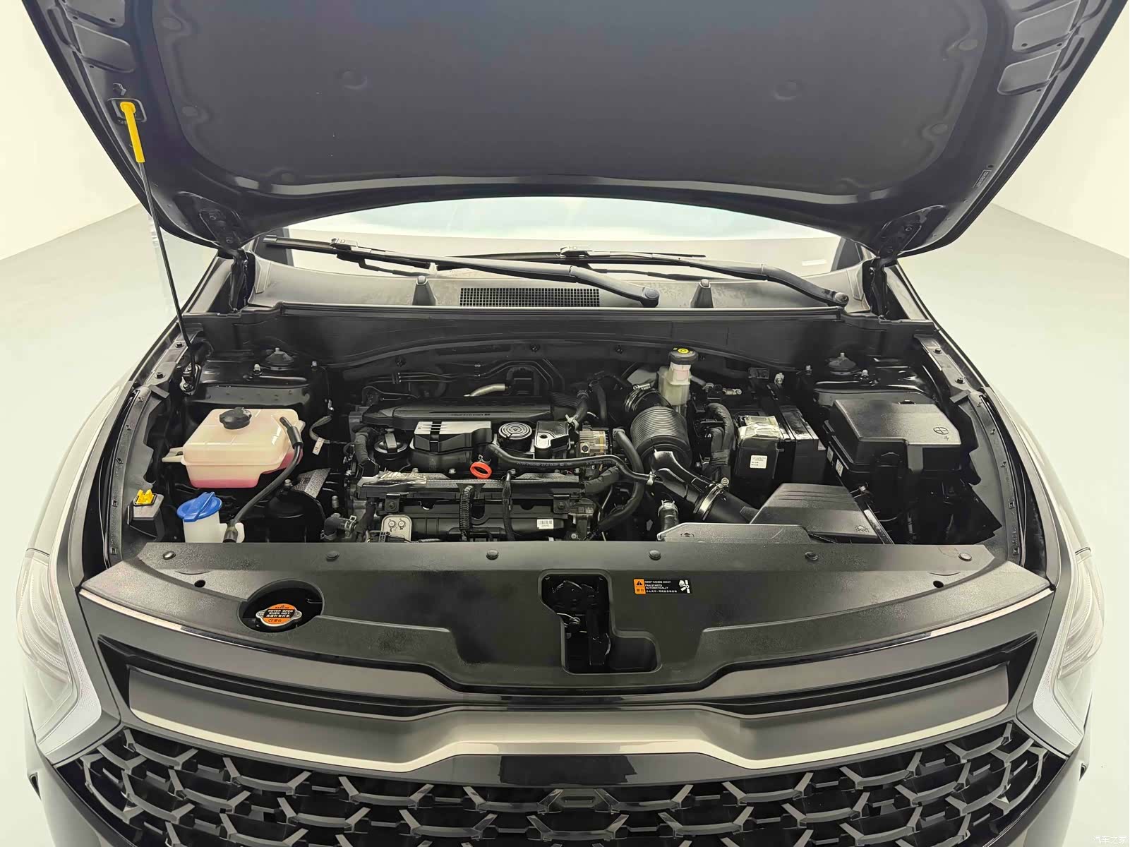 Kia Sportage, 2024 10