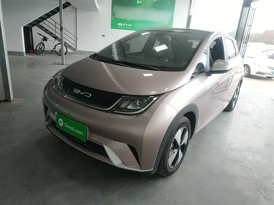 BYD dolphin