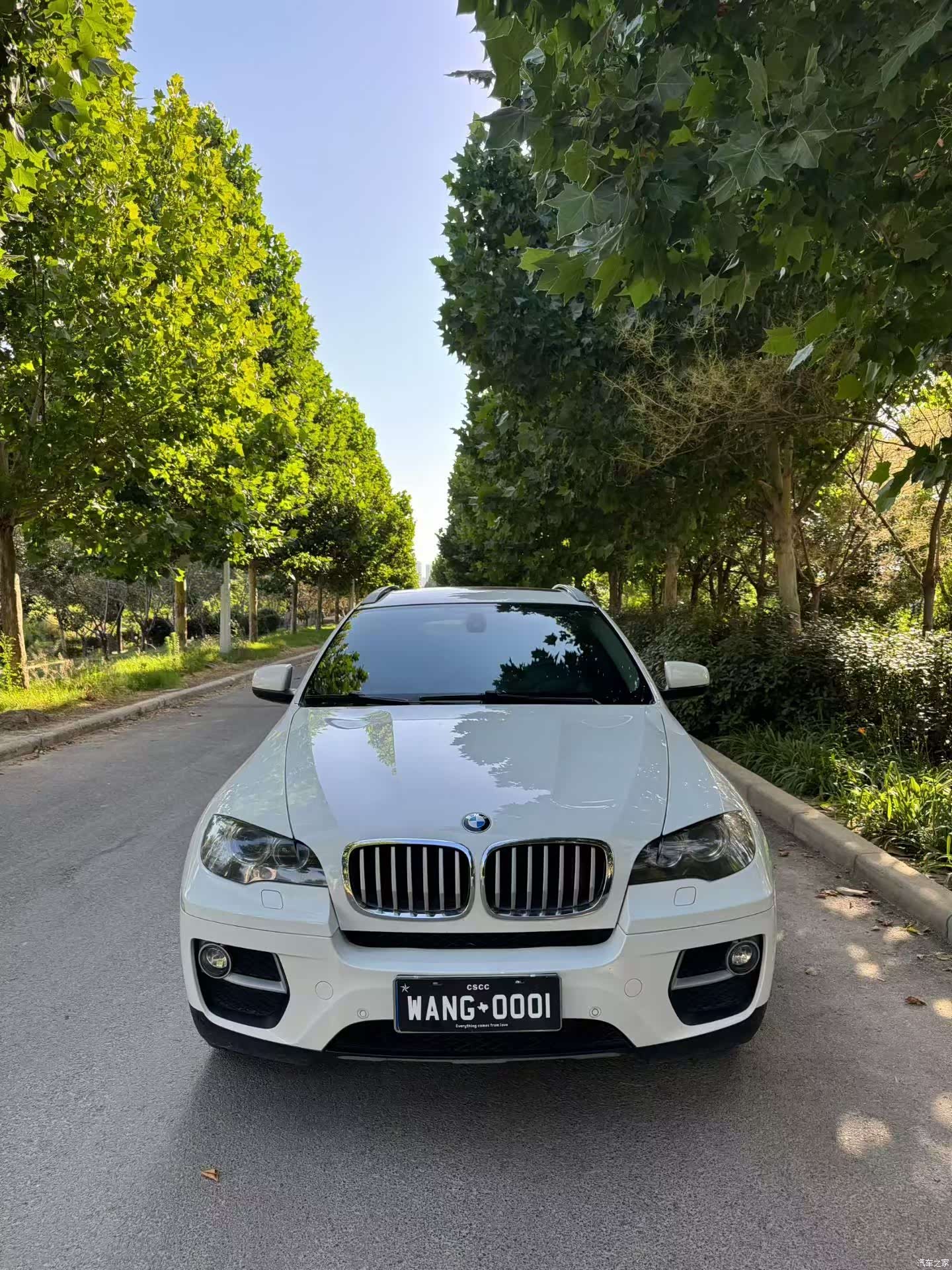 BMW X6, 2013 2