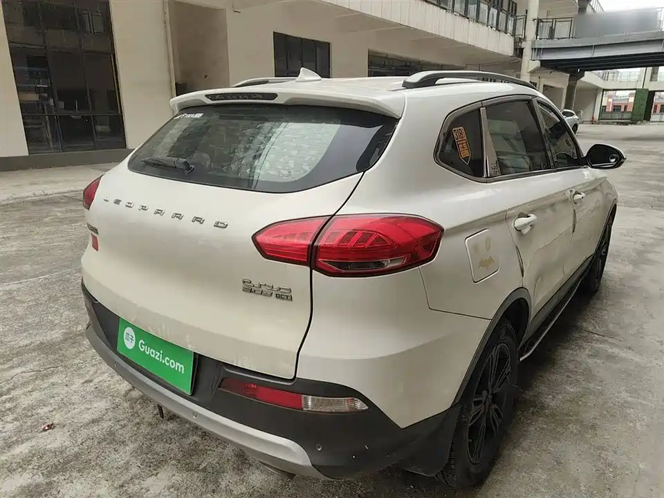 Leopaard Cheetah CS10